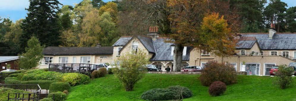 Kilcoran Lodge Hotel & Leisure Centre ケア エクステリア 写真